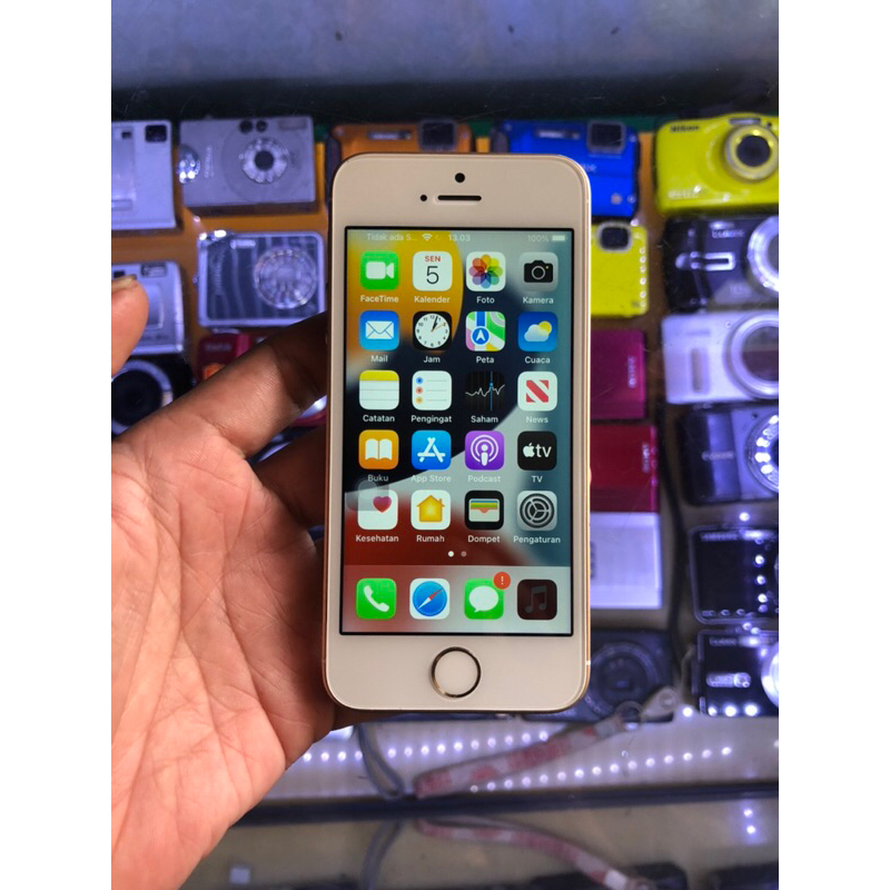 iPhone SE 2016 64gb Wifi Only Second-Bekas