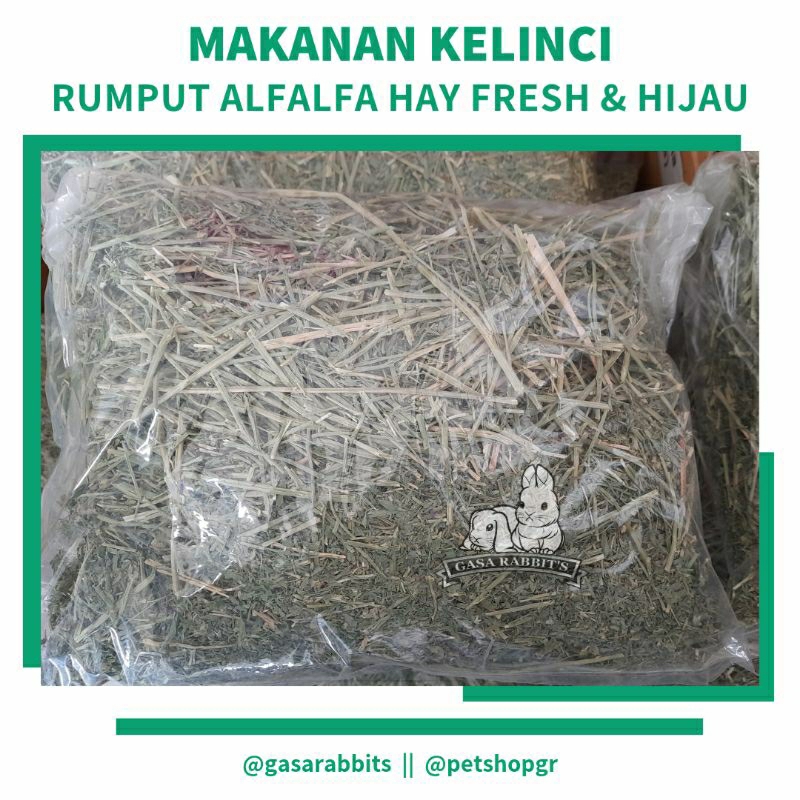 RUMPUT ALFALFA HAY 1 KG - ALFALFA HAY - MAKANAN KELINCI - RUMPUT HAY KELINCI - HAY ALFALFA - MAKANAN