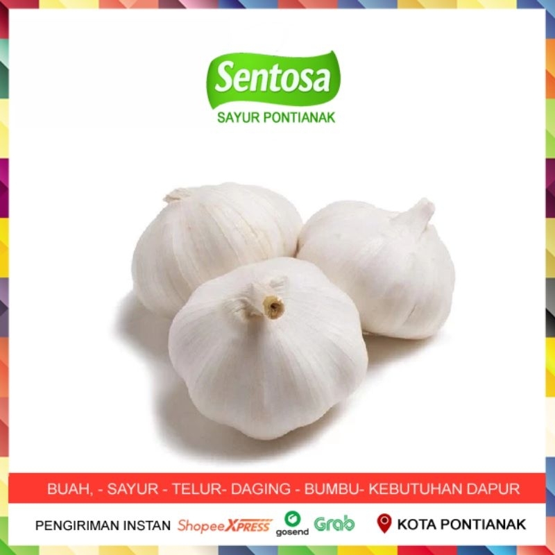 

Bawang Putih 100 gram Sentosa Sayur Pontianak