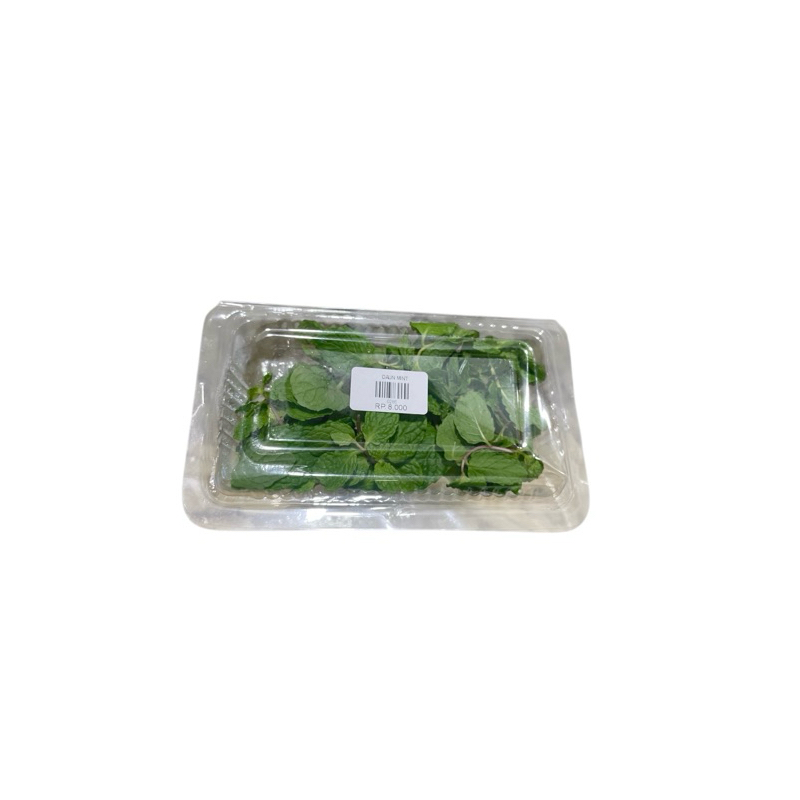

DAUN MINT 20 GRAM