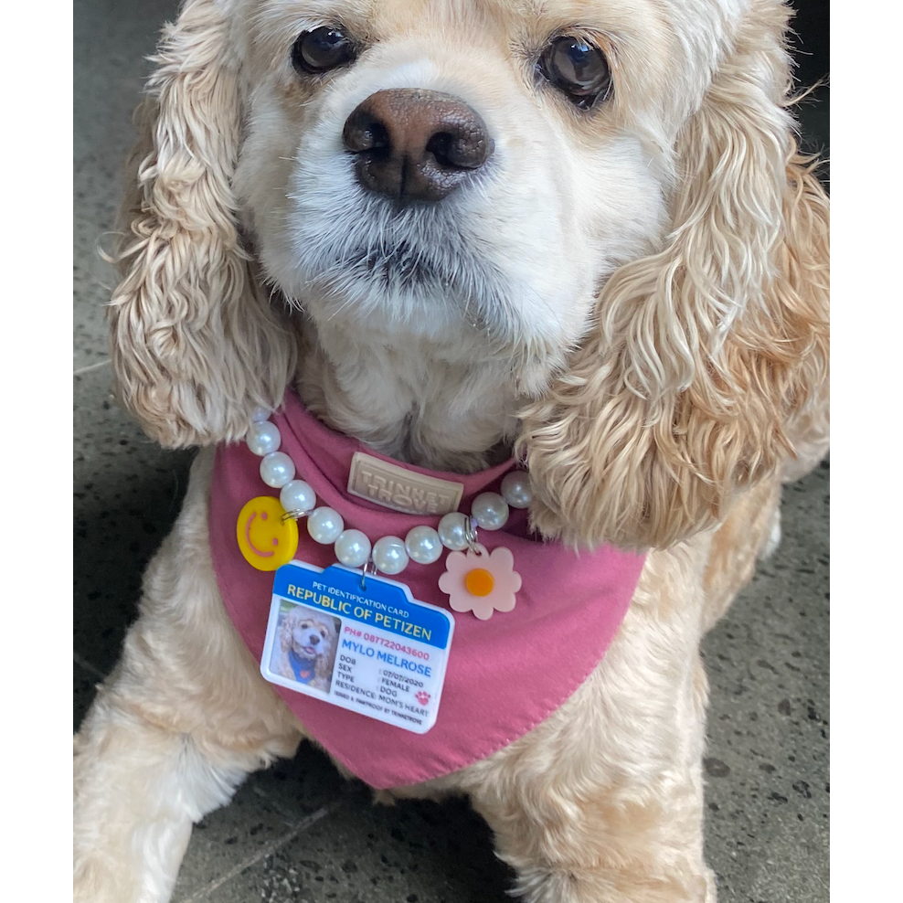 PET ID | KTP HEWAN | DOG CHARM | CAT CHARM