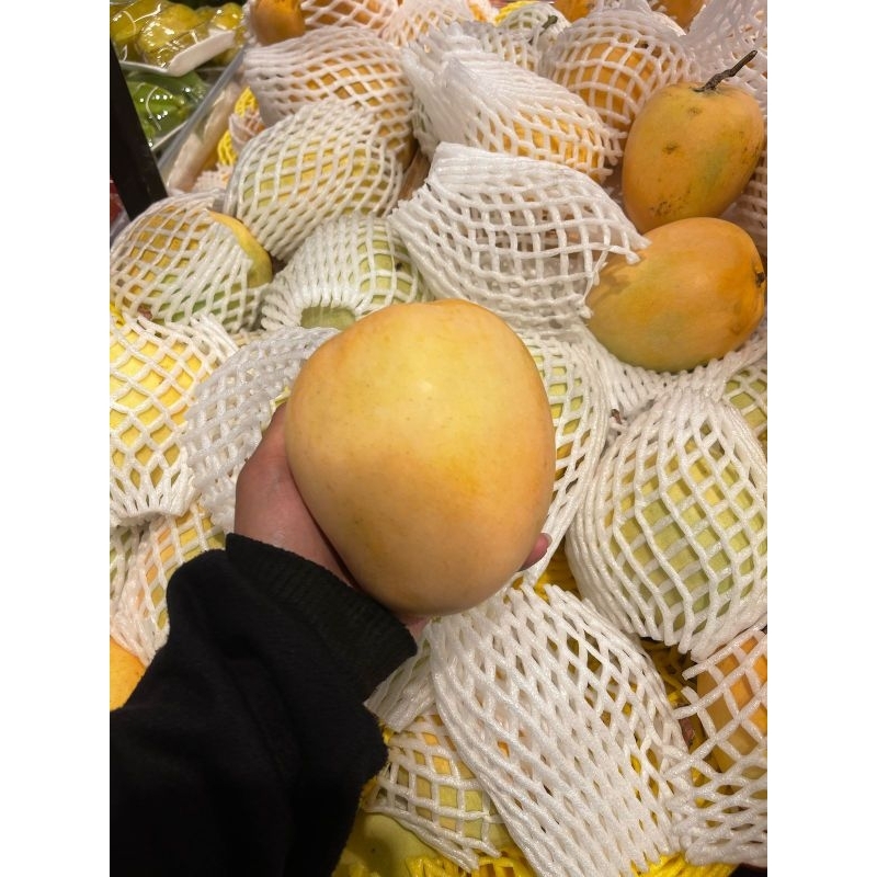 

Mangga Golden Thailand Jumbo Super -+ 1 Kg