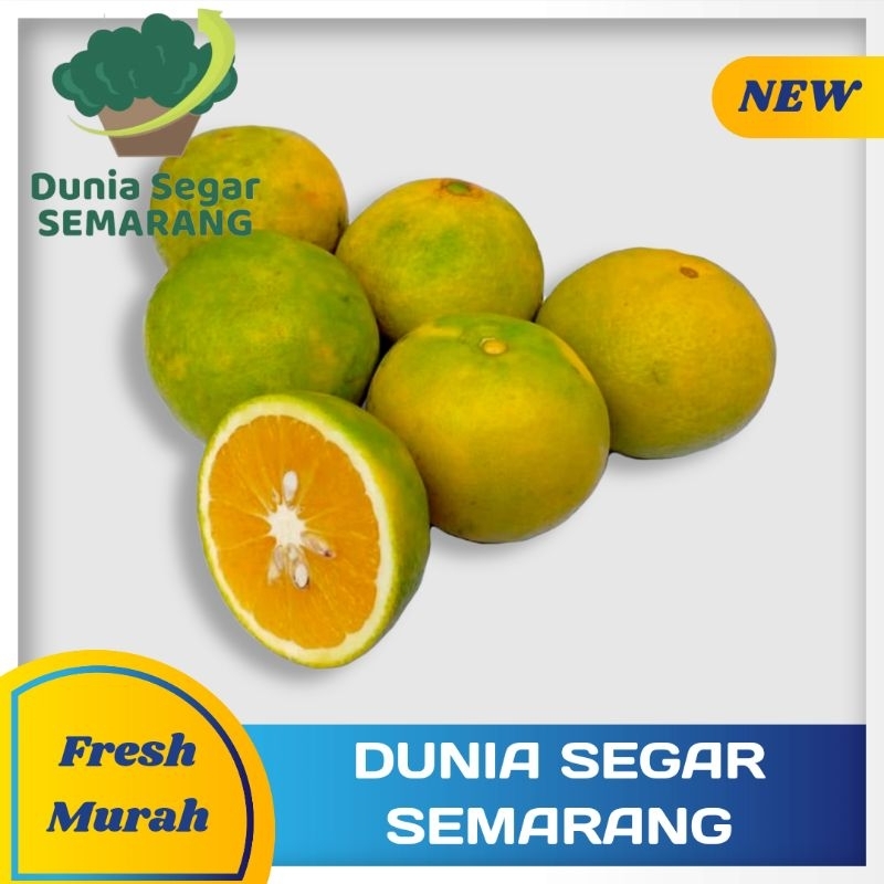 

Jeruk Baby Manis 1 kg