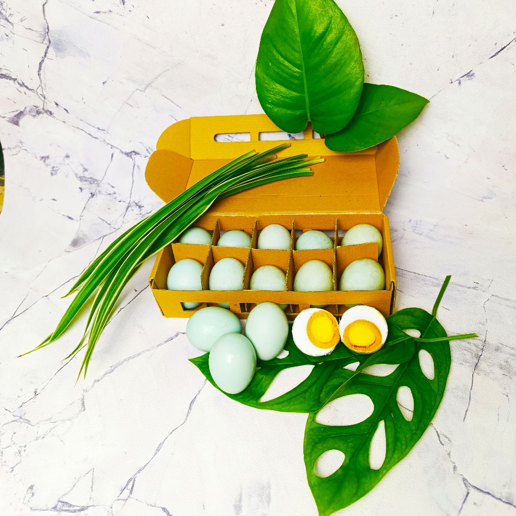 

TELUR ASIN OMEGA/MASIR Matang telur bebek asli 100% 2 butir