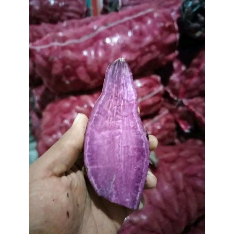 

Ubi jalar Ubi Merah Ungu Putih Ubi Boled 1KG