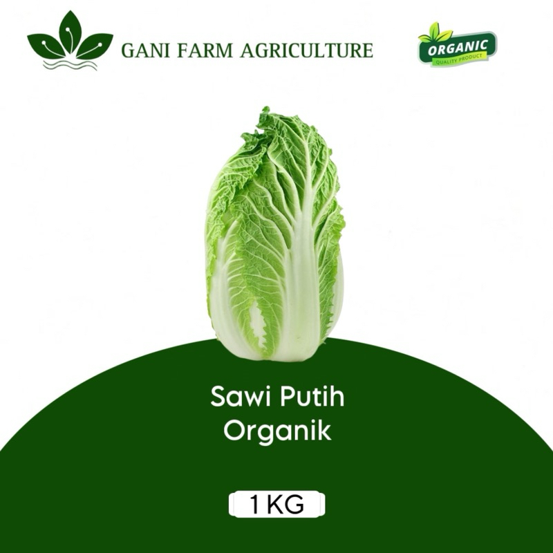 

Sawi putih Organik 1 kg