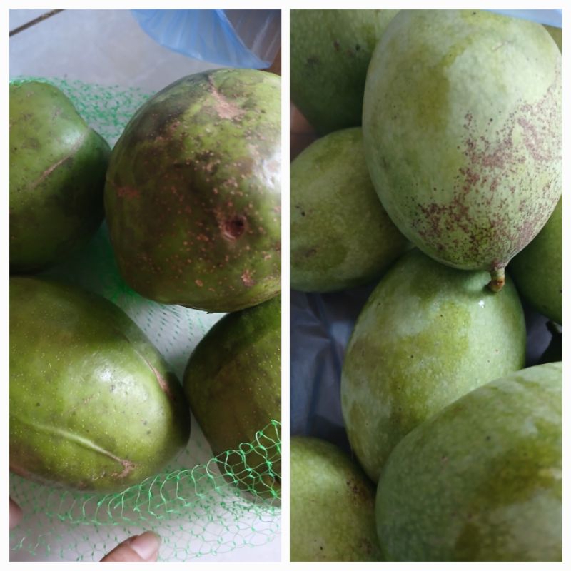 

PAKET RUJAK kedondong setengah kg mangga madu setengah kg