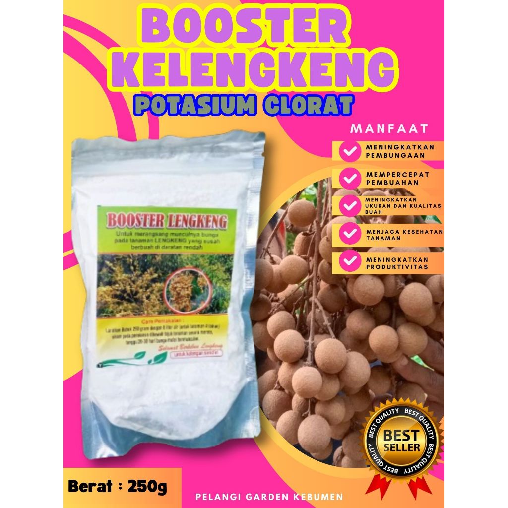 BEBAS JAMUR  Booster Kelengkeng New Kristal Cangkok, Booster Kelengkeng New Kristal Berbuah, Booster