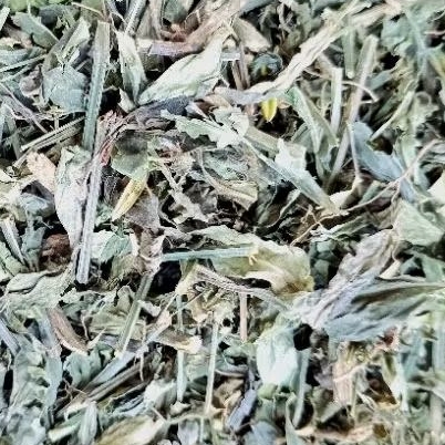 

SAMBILOTO KERING KUALITAS GRADE A BERSIH DAN HIJAU KERING 500 GRAM