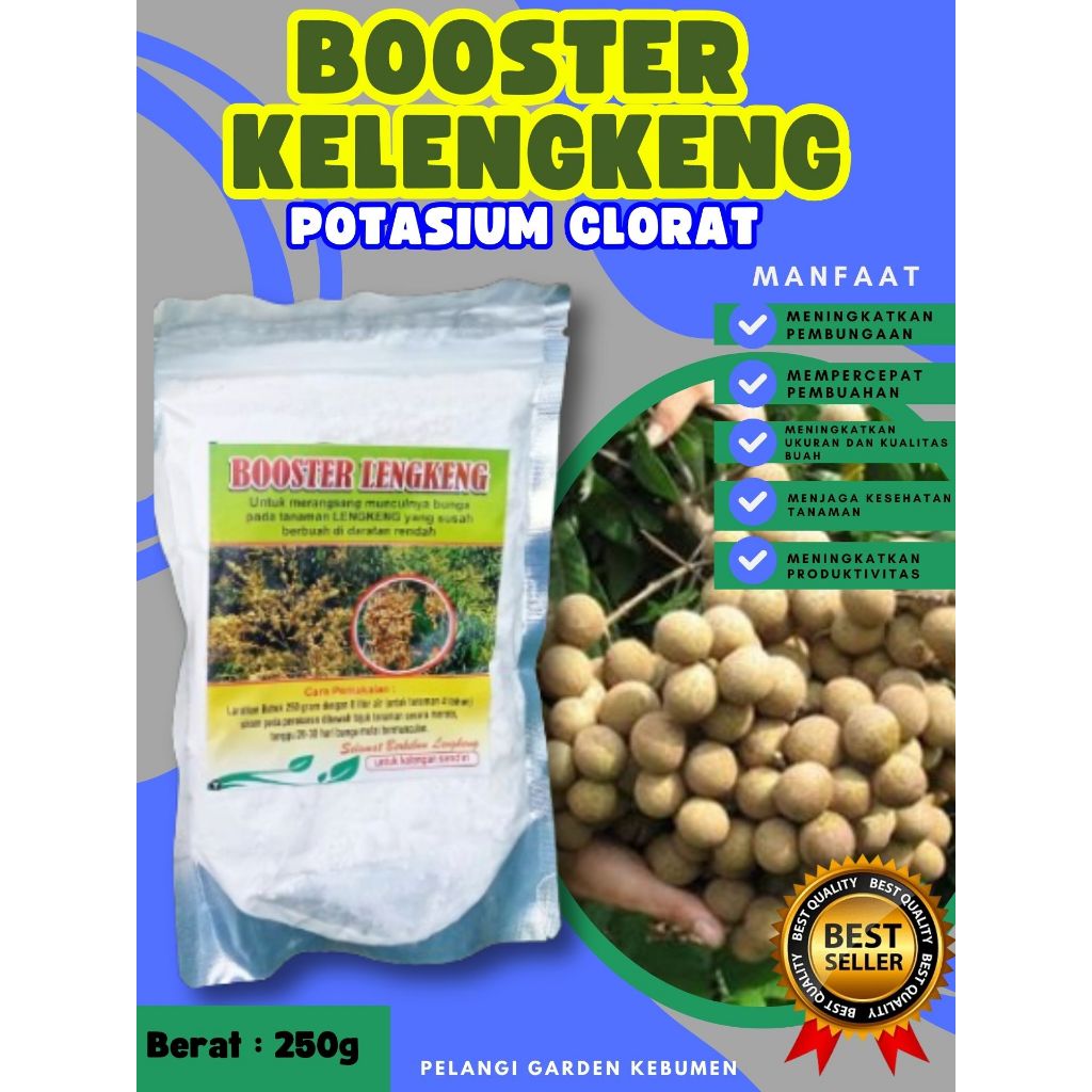 BEST SELLER ! Pupuk Buah Kelengkeng Merah Cangkok Berbuah, Pupuk Buah Kelengkeng Matalada, Pupuk Bua