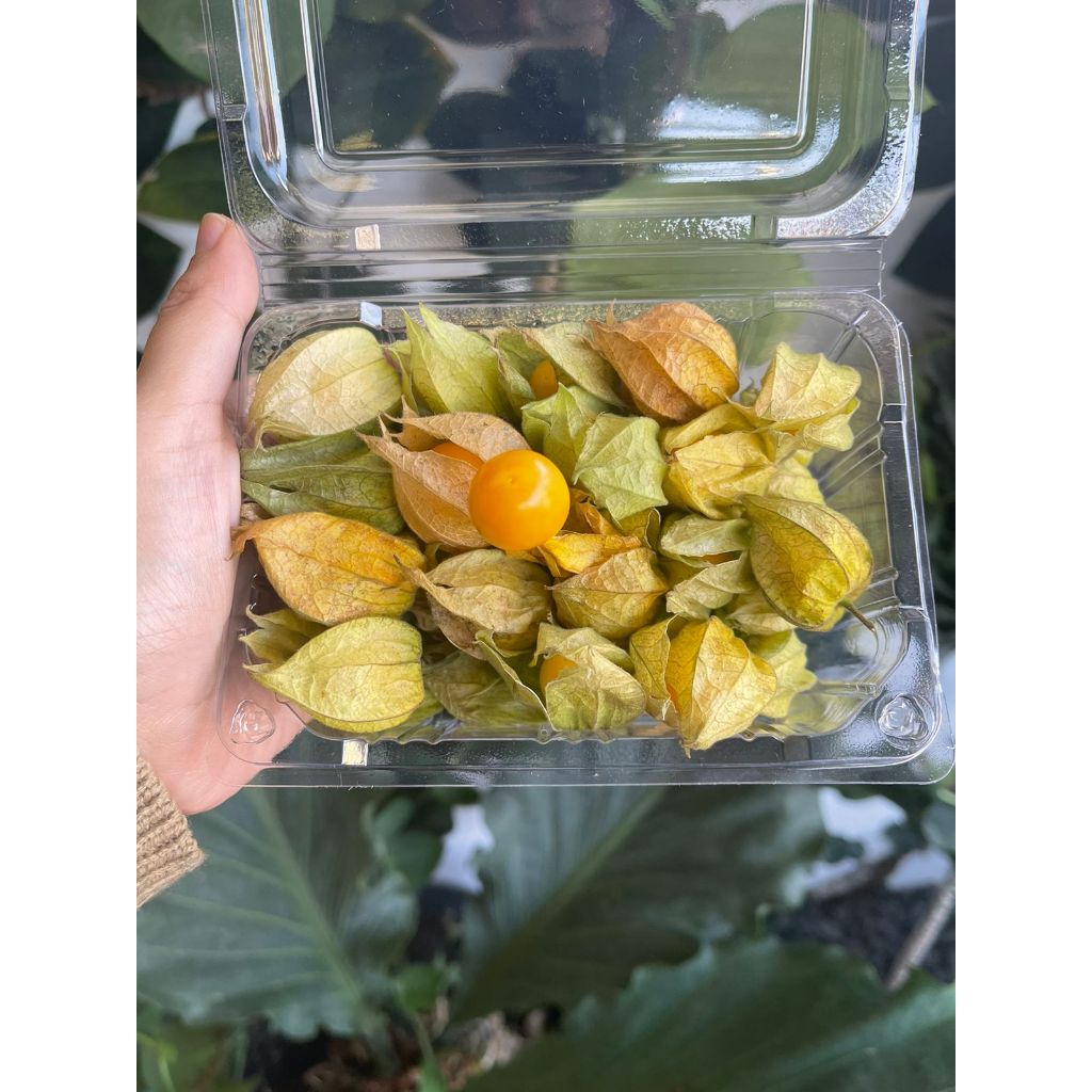 

Golden berry Fresh pack