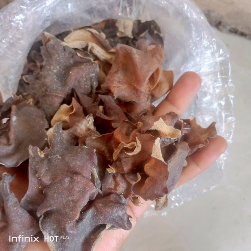 

Jamur kuping kering kualitas terbaik (grade A)25000/250gr
