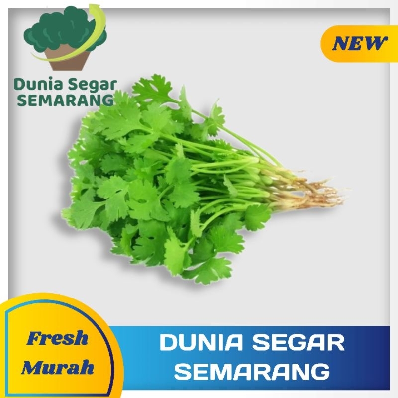 

Daun Ketumbar Segar 100 gr