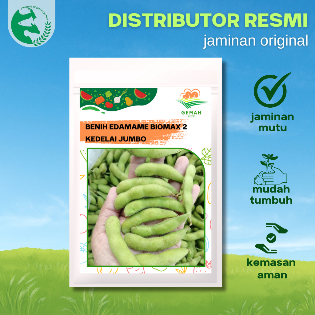 Teh_Teh Maniez Benih Edamame Biomax 2 Gemah Seed 15 Gr Kedelai Jepang Produksi Tinggi