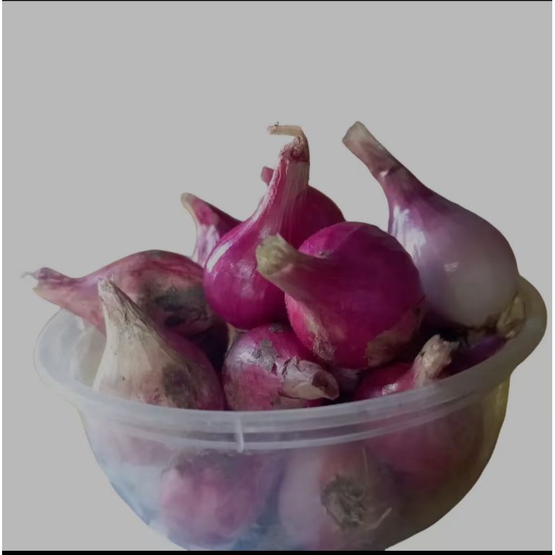 

bawang merah demak super24