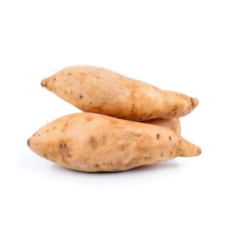 

Ubi Jalar Putih Segar 1 KG (Ukuran Sedang)