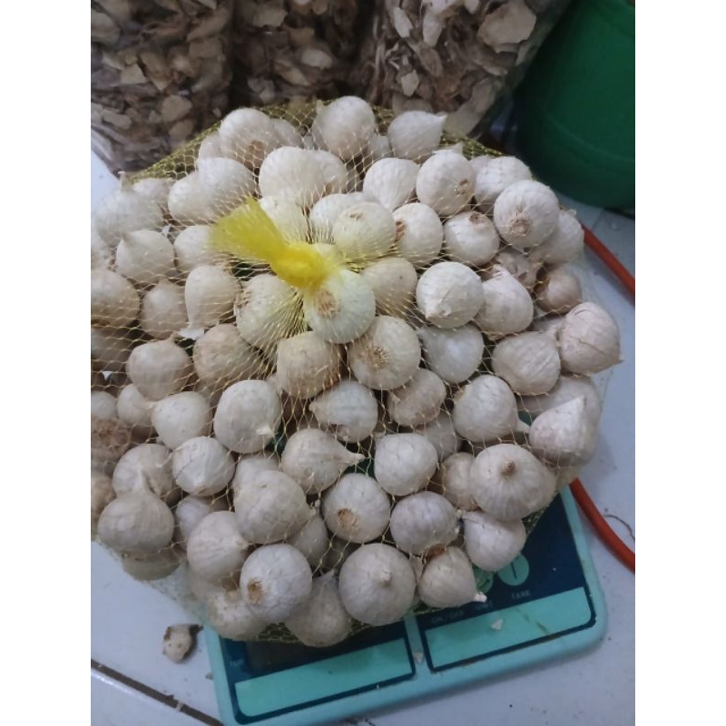 

Bawang putih tunggal lanang fress 100 gram