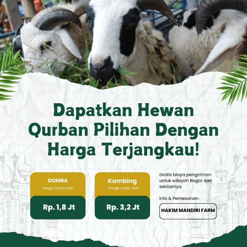 

domba dan kambing kurban bisa titip sampe hari.H