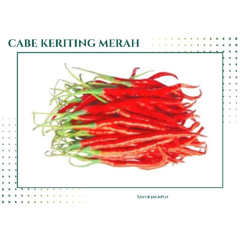 

Cabe kering merah pilihan