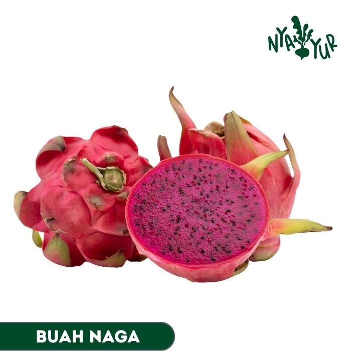 

INSTAN - Buah Naga Segar 1pcs