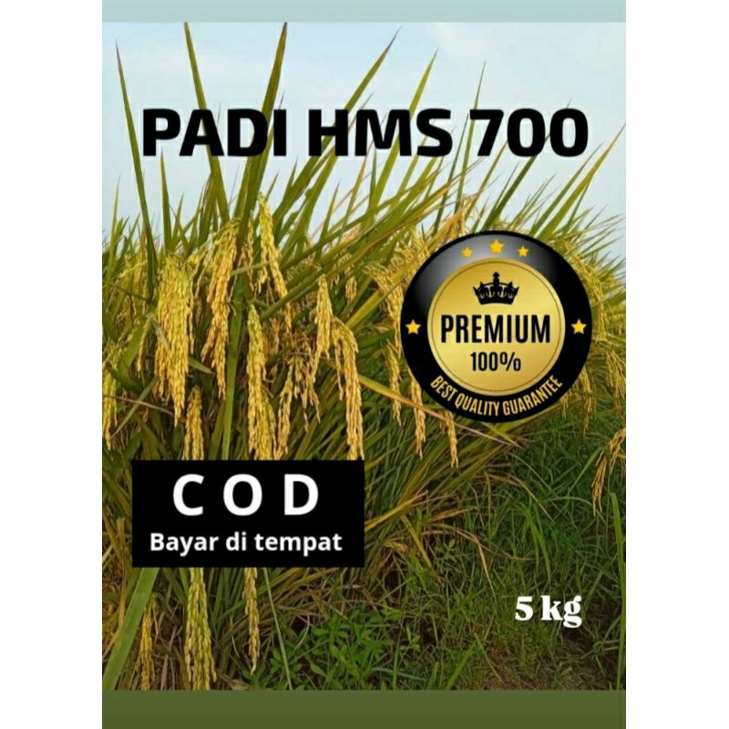 |COD|Benih bibit padi HMS700 berkualitas kemasan 5kg