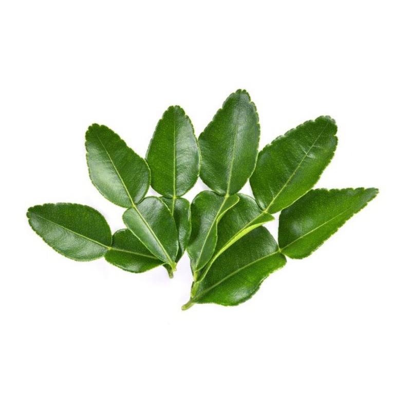 

DAUN JERUK PURUT BUMBU PENYEDAP RASA MASAKAN 500 Gram