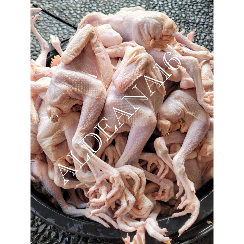 

Ayam Pejantan Segar Fresh Bersih Halal