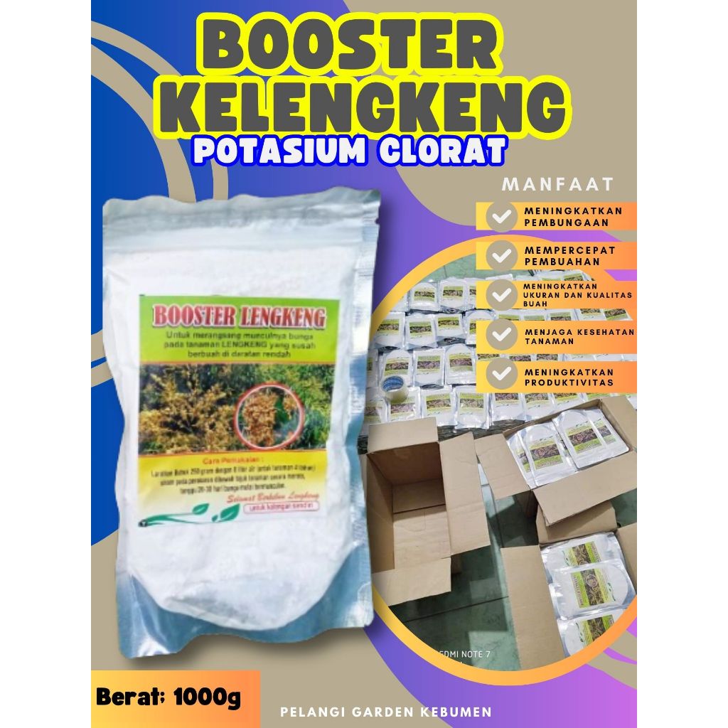 KUALITAS TERBAIK  Boster Kelengkeng Durian, Boster Kelengkeng Kcl03 Murni