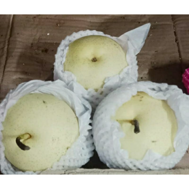 

Buah Pir Segar Premium – Manis, Renyah, dan Penuh Kesegaran!