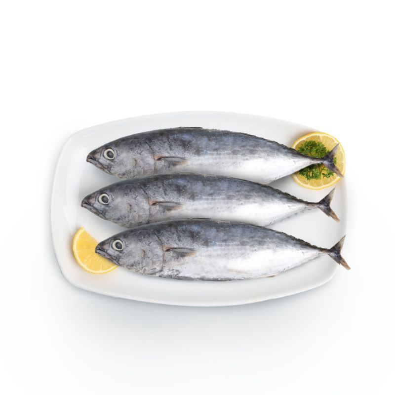 

Ikan Cakalang Utuh 400-460gr