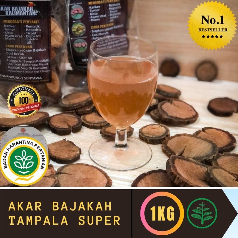 

[ORIGINAL] Akar Kayu BAJAKAH TAMPALA MERAH 500gram Siap Seduh Obat Tumor dan Kanker (100% ORIGINAL) Asli Kalimantan
