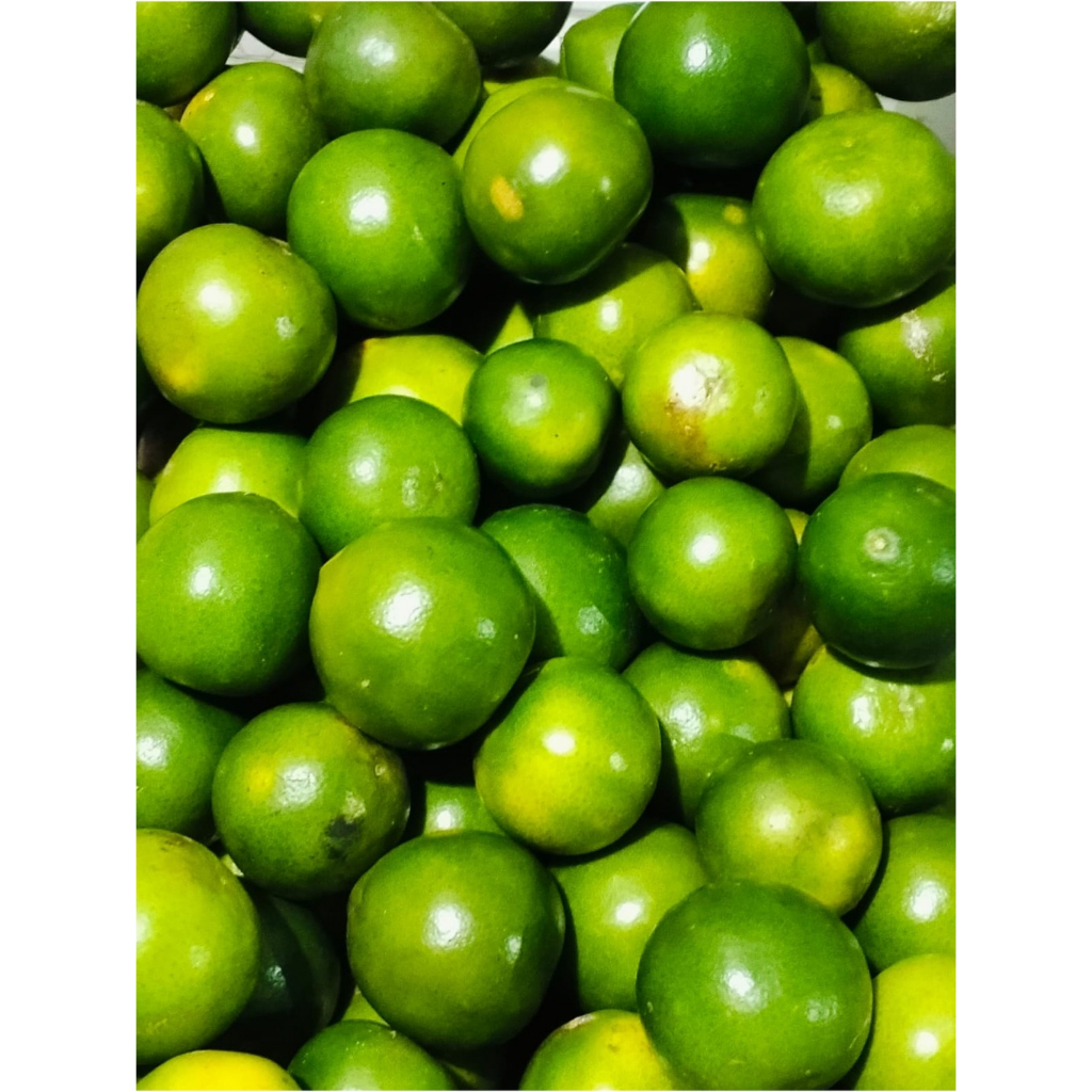 

1kg jeruk peras palembang ukuran kecil-sedang (MT)