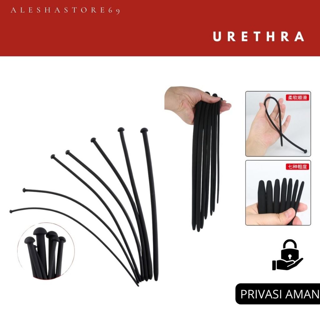 

ALESHASTORE69-PERLENGKAPAN ALAT TULIS PENSIL PREMIUM