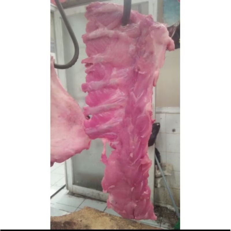 

tulang karbonat fresh 500gram
