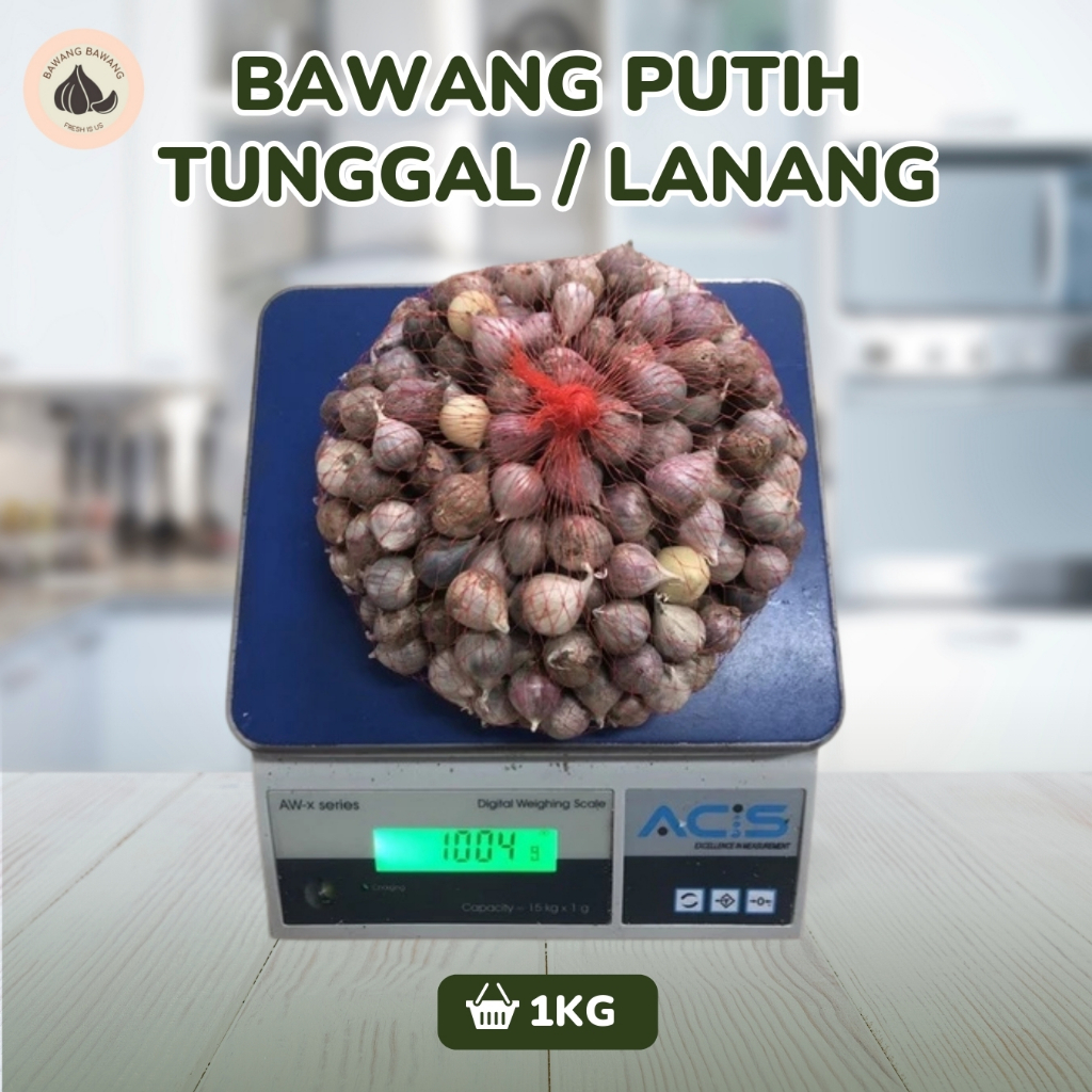 

RB 2 KG PAKET Bawang Putih Tunggal Lanang Besar Ukuran 2 Cm