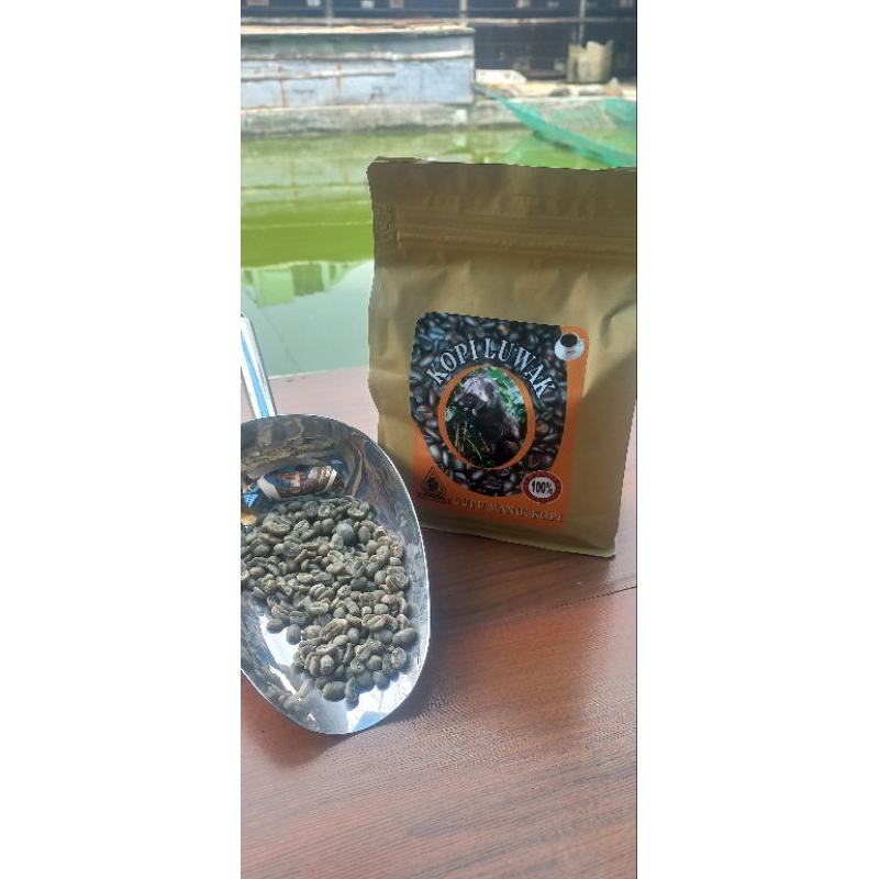 

kopi luwak green bean