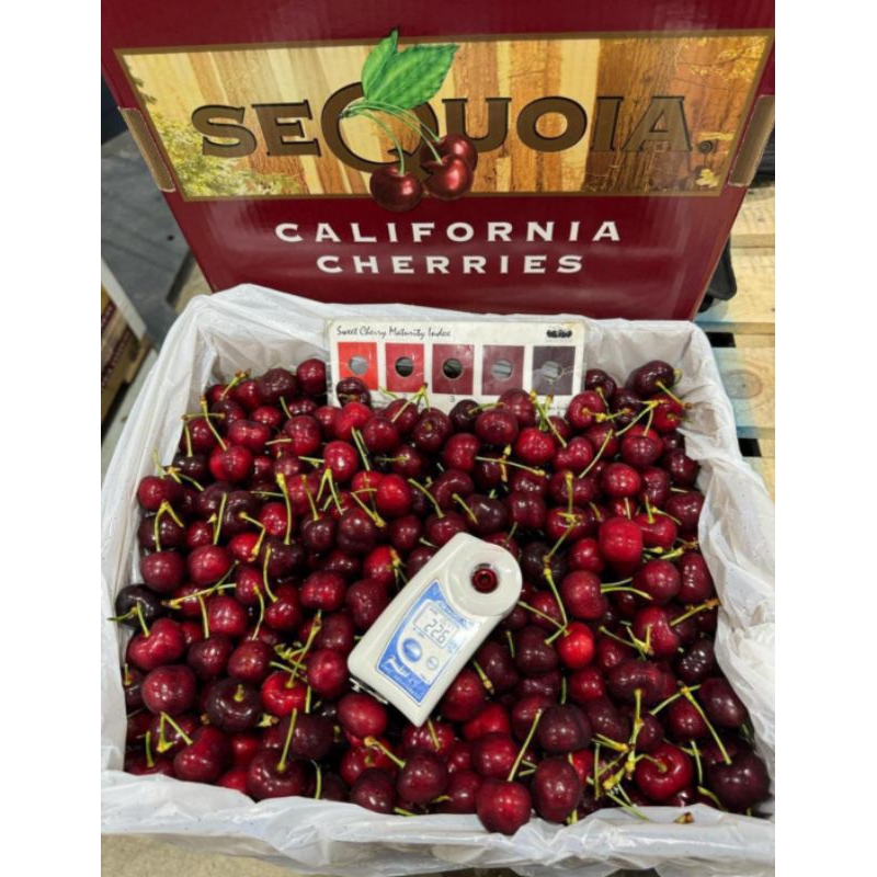 

Buah Cherry Red Import Fresh / Buah Cherry Merah 1 Kg