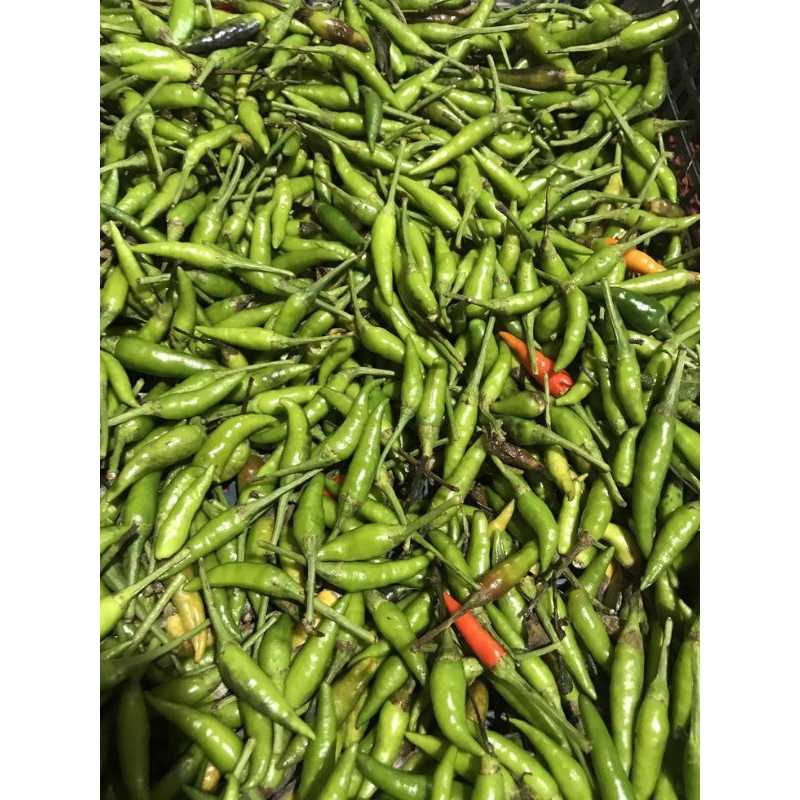 

Cabe Rawit Hijau 500g/1kg