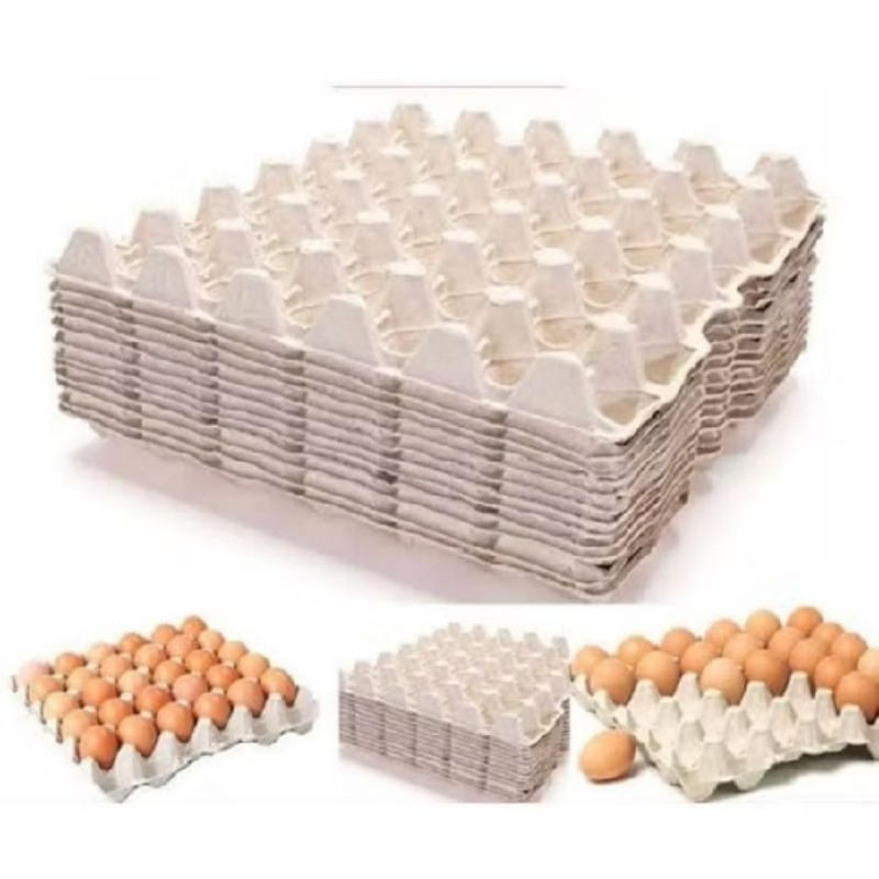 PAKET 50 LEMBAR Wadah Telur Ayam / Telur Bebek / Telur puyuh / egg try Karton / Kardus