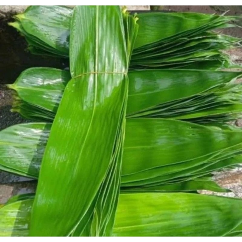 

daun bambu