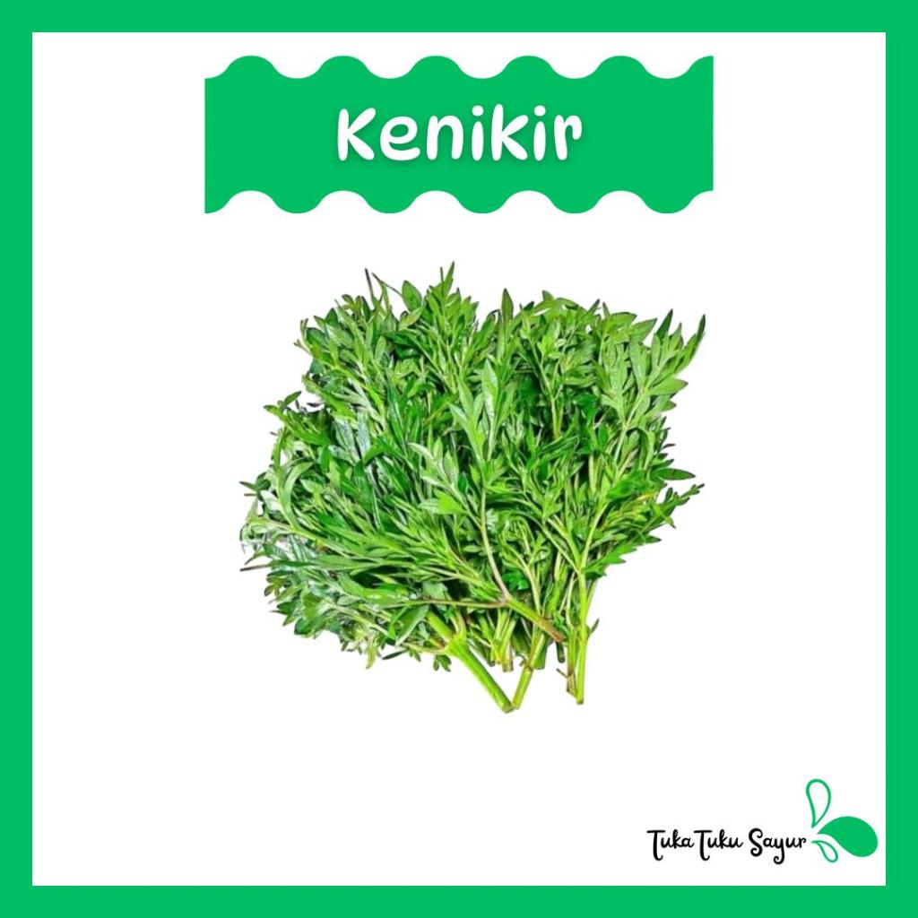 

DAUN KENIKIR FRESH SEGAR (per ikat) - TukaTuku Sayur