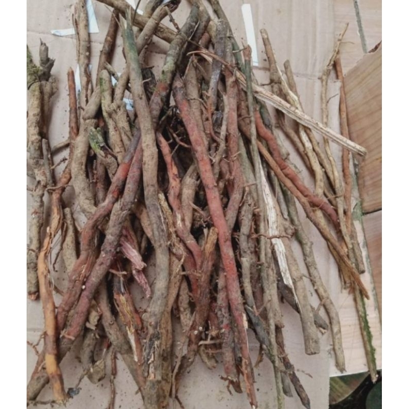 

Akar pohon kelapa kering asli organik berat 100gr untuk rempah nusantara