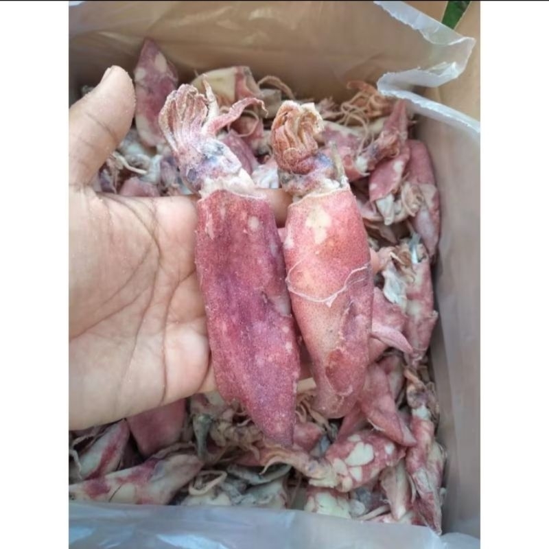 

CUMI ASIN KERING kemasan 1kilogram bisa COD