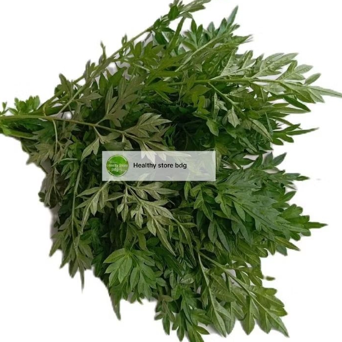 

Daun kenikir atau raramidang segar 500 gram