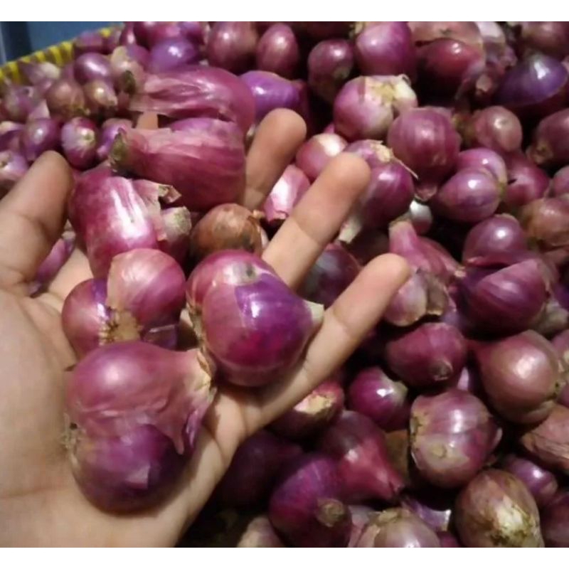 

bawang merahsuper besar 250 gram