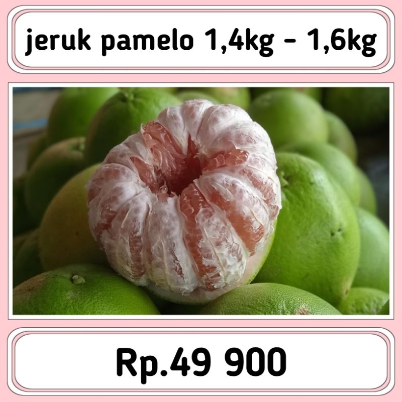 

Jeruk pamelo madu (MANIS) berat_1.6kg-1.7kg-1,8kg