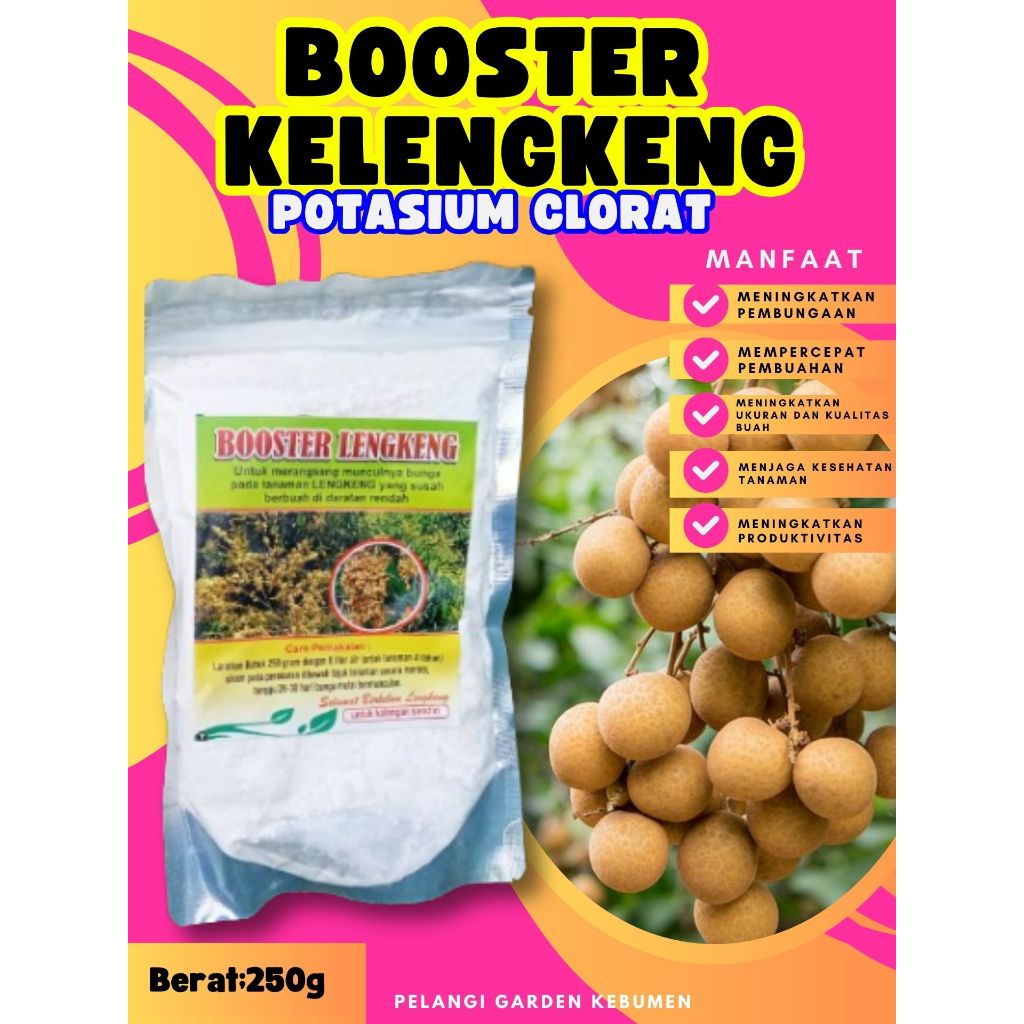 BEBAS JAMUR  Pupuk Buah Kelengkeng Kclo 3 Murni, Pupuk Buah Kelengkeng Kclo 3