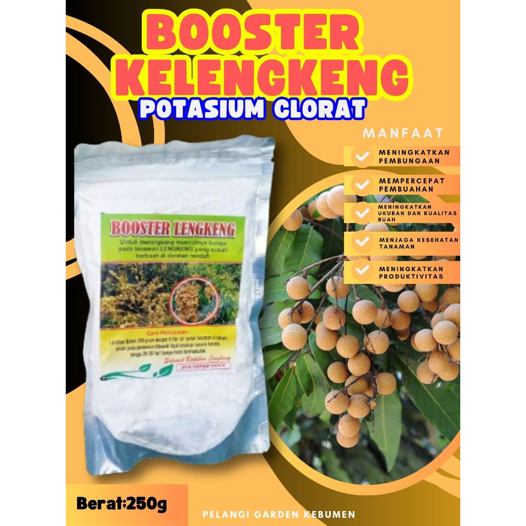 PROMO  Booster Kelengkeng Merah Cangkok Berbuah, Booster Kelengkeng Matalada