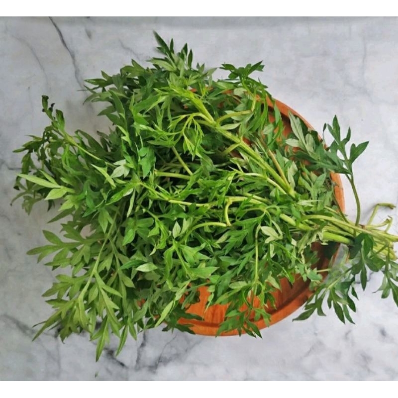 

Daun kenikir 1 ikat..