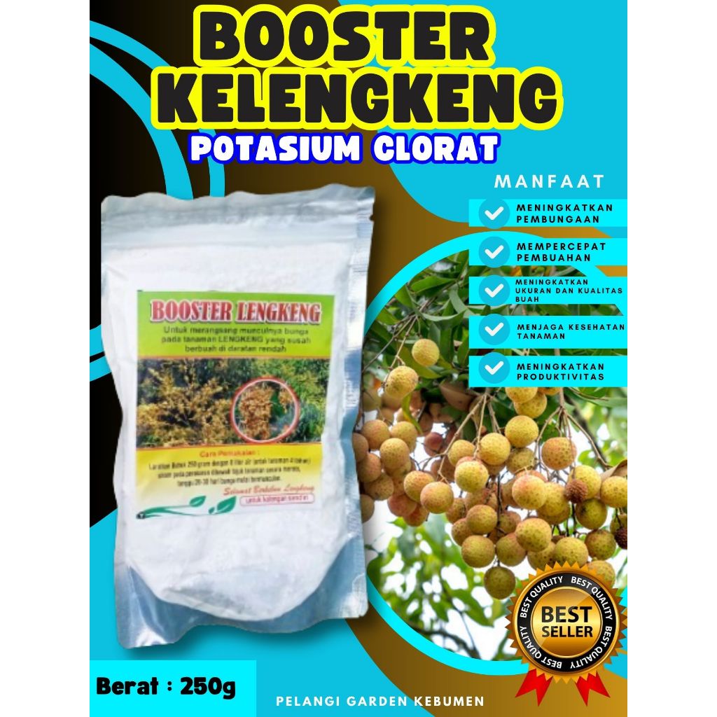 BEBAS JAMUR  Booster Kelengkeng New Kristal Cangkok, Booster Kelengkeng New Kristal Berbuah, Booster